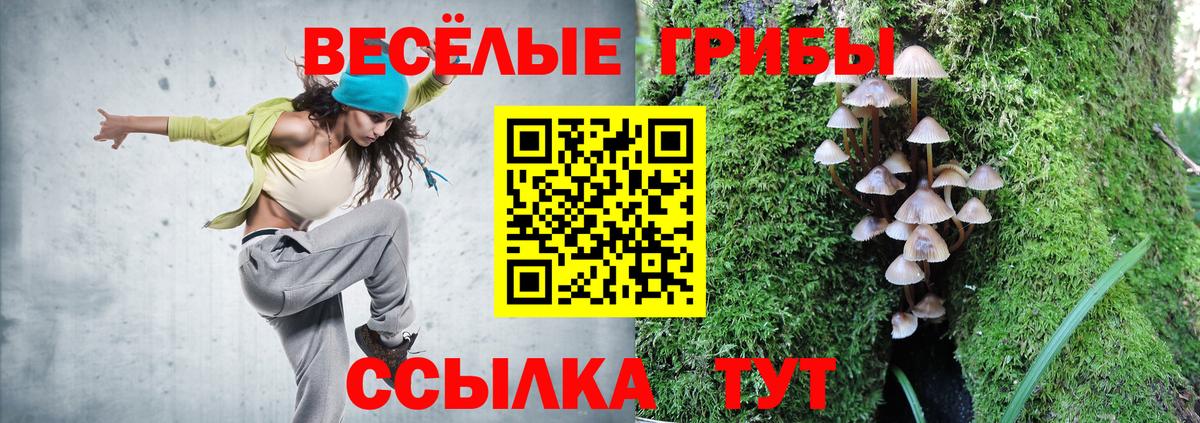 Галлюциногенные грибы GOLDEN TEACHER Конаково